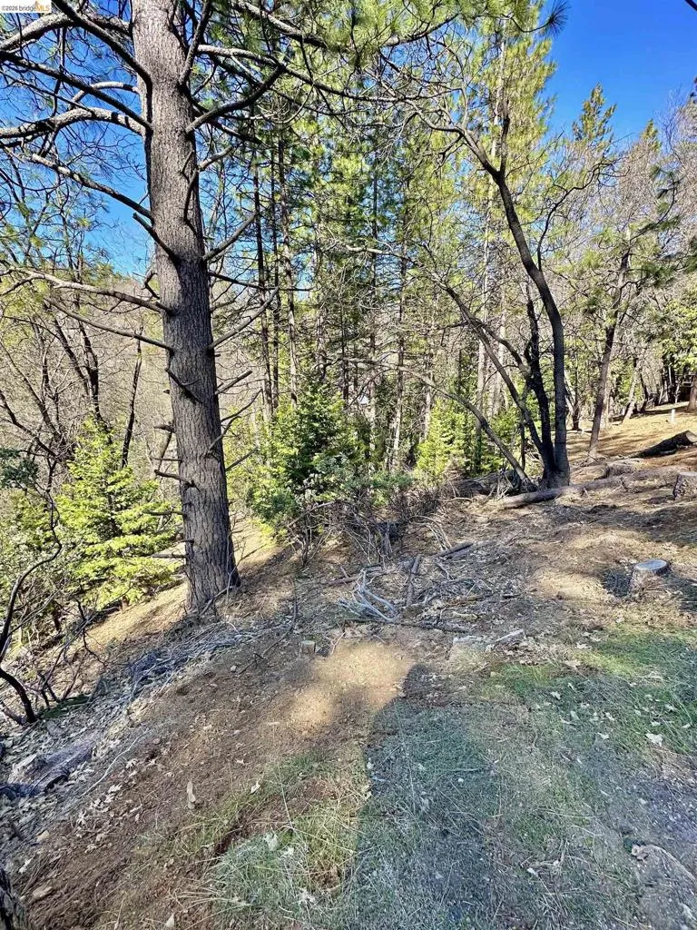 23956 Stable Rd Sonora, CA 95370