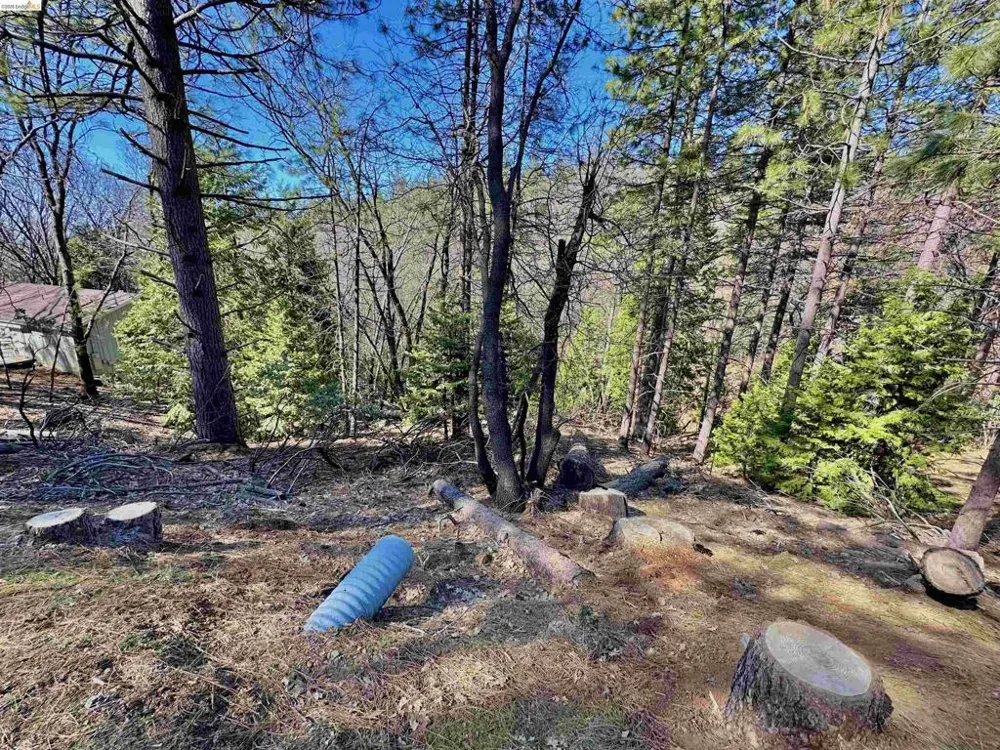 23956 Stable Rd Sonora, CA 95370