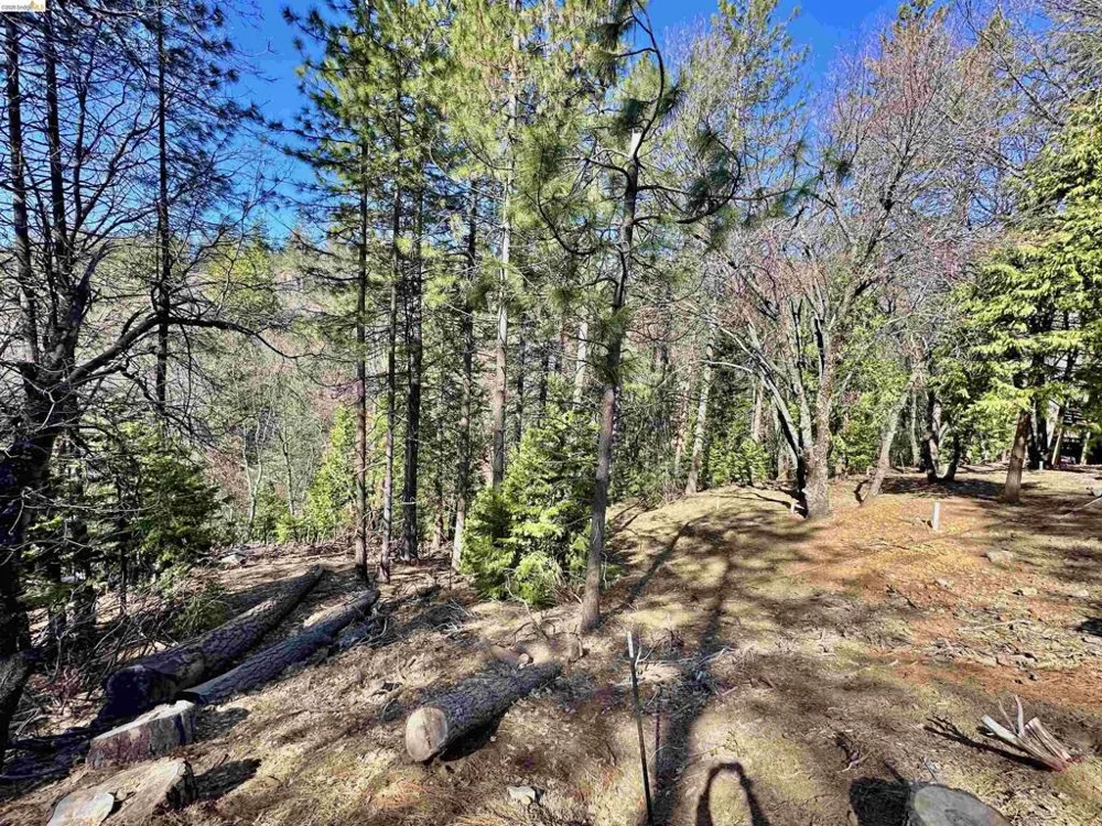 23956 Stable Rd Sonora, CA 95370