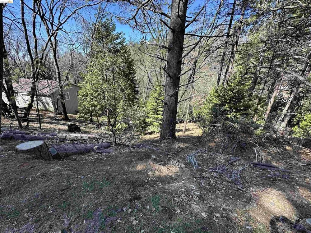 23956 Stable Rd Sonora, CA 95370
