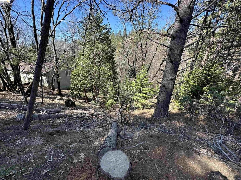 23956 Stable Rd Sonora, CA 95370