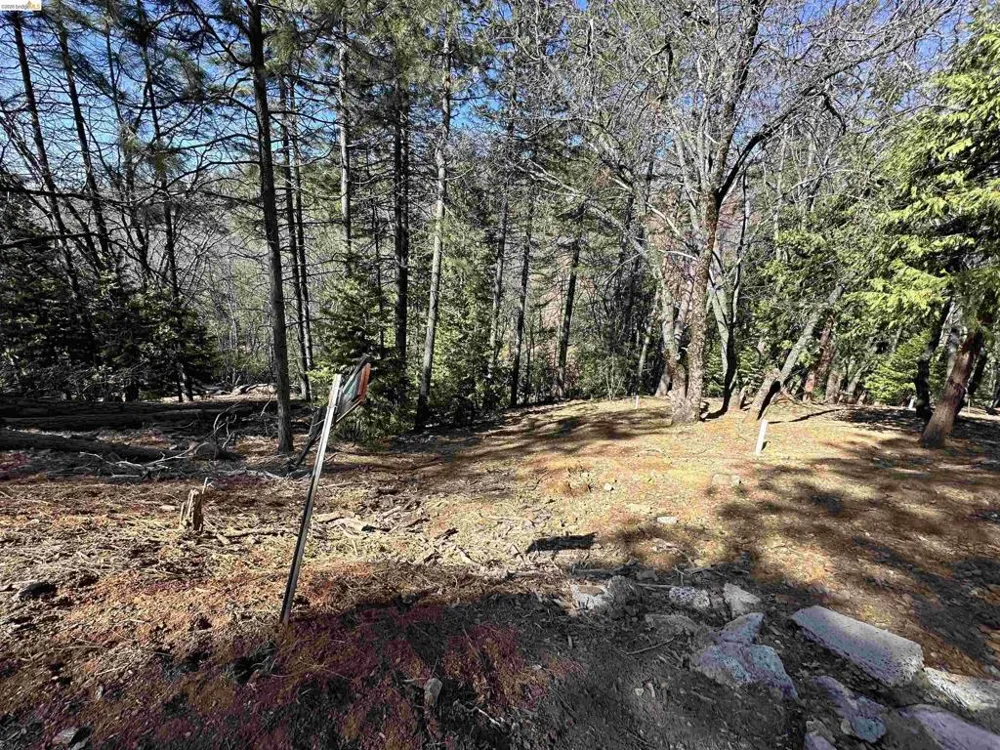 23956 Stable Rd Sonora, CA 95370