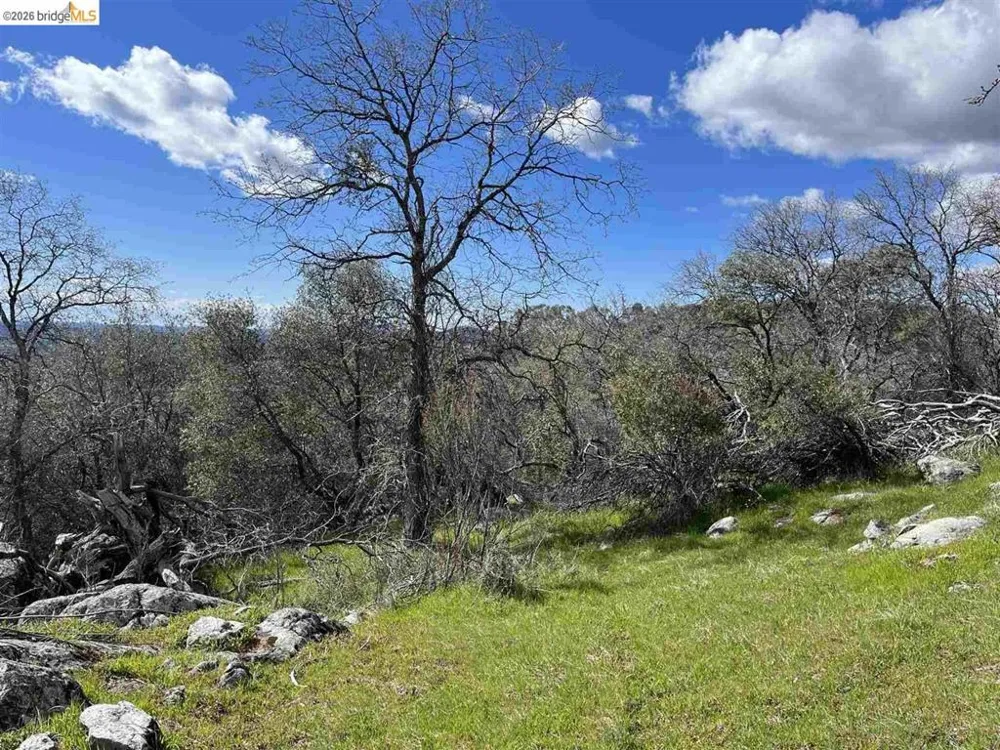 18351 Olov Sonora, CA 95370
