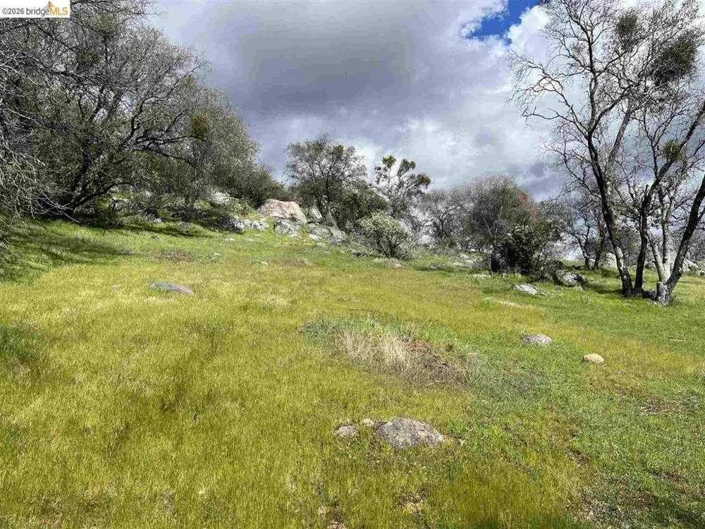 18351 Olov Sonora, CA 95370