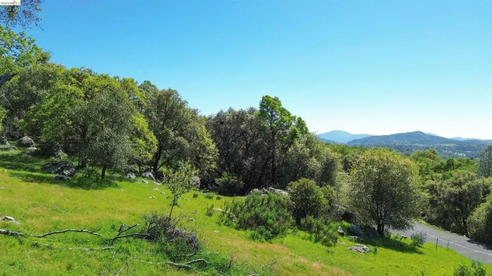 18351 Olov Sonora, CA 95370