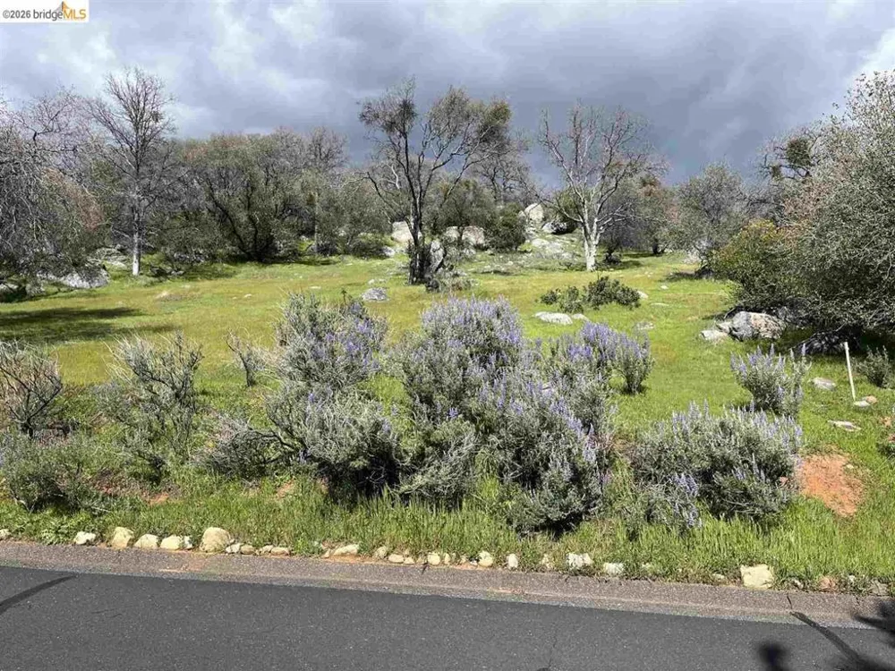 18351 Olov Sonora, CA 95370