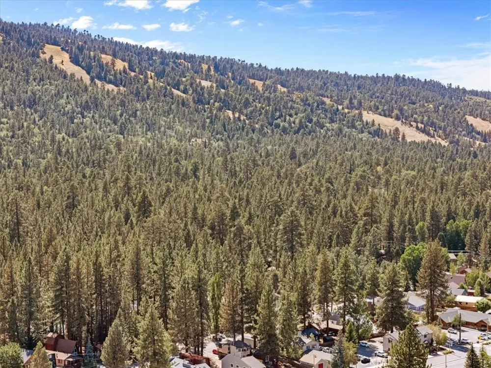 42795 Cougar Big Bear Lake, CA 92315