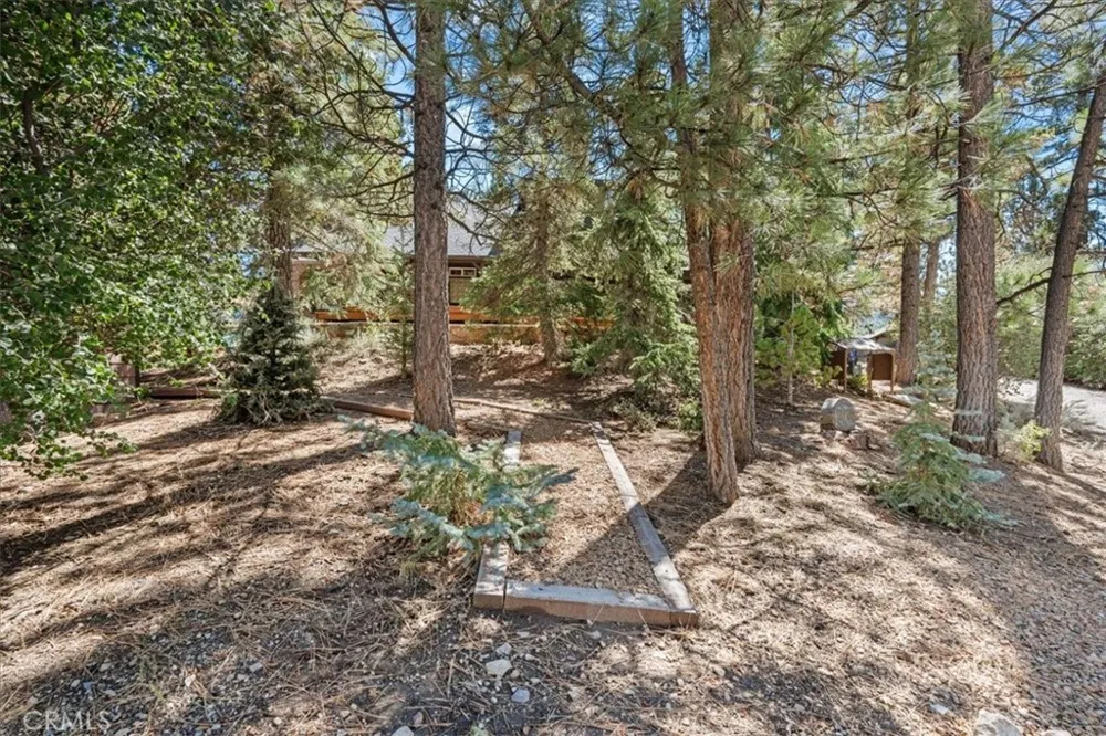 42795 Cougar Big Bear Lake, CA 92315