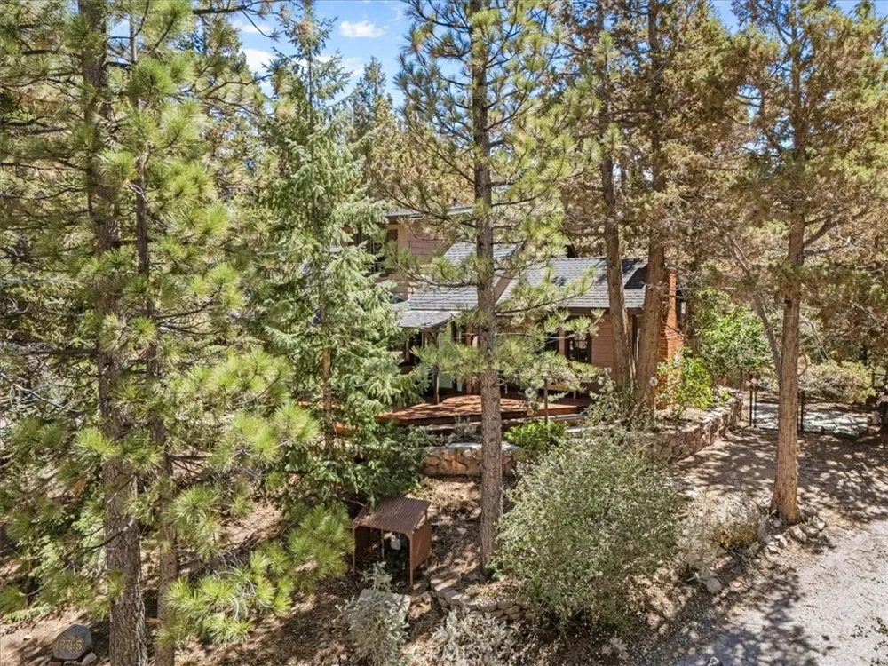 42795 Cougar Big Bear Lake, CA 92315