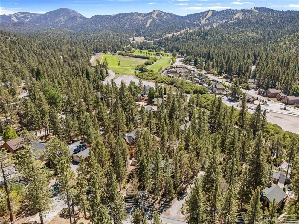 42795 Cougar Big Bear Lake, CA 92315