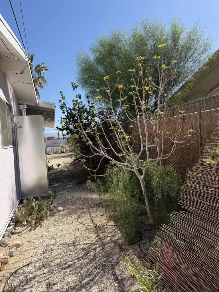 65848 Buena Vista Avenue Desert Hot Springs, CA 92240