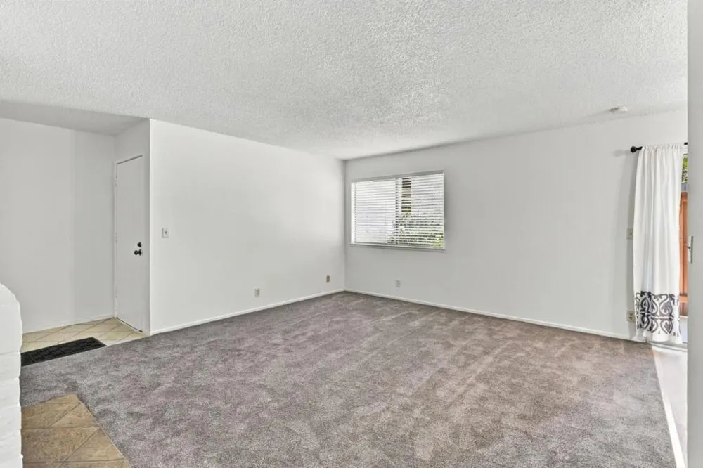 247 capitol Avenue #168 San Jose, CA 95127