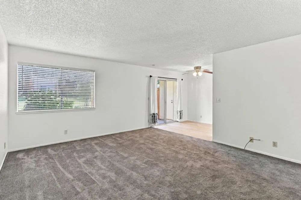 247 capitol Avenue #168 San Jose, CA 95127