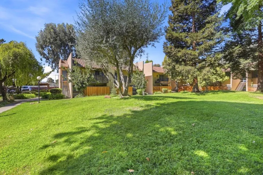 247 capitol Avenue #168 San Jose, CA 95127