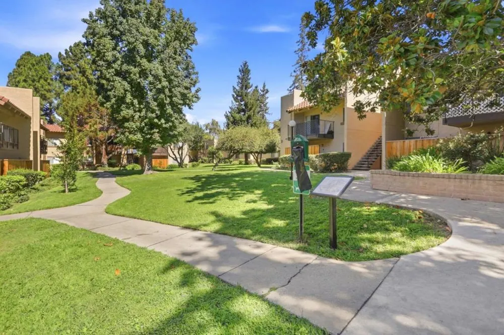 247 capitol Avenue #168 San Jose, CA 95127