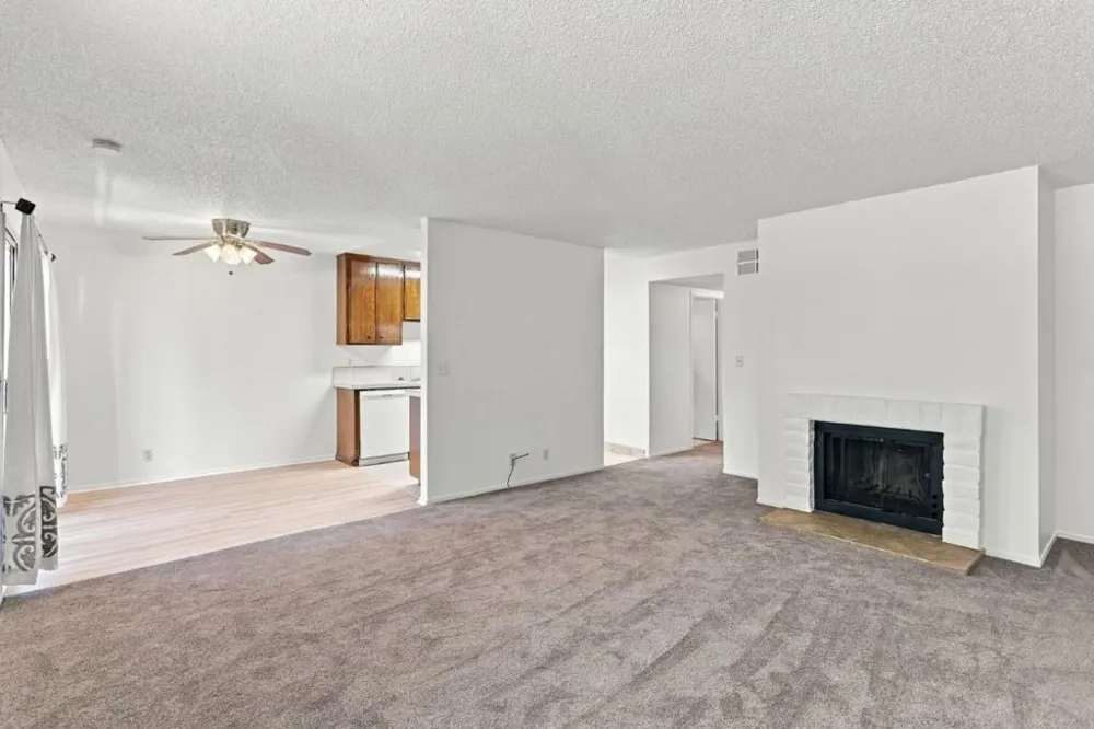 247 capitol Avenue #168 San Jose, CA 95127