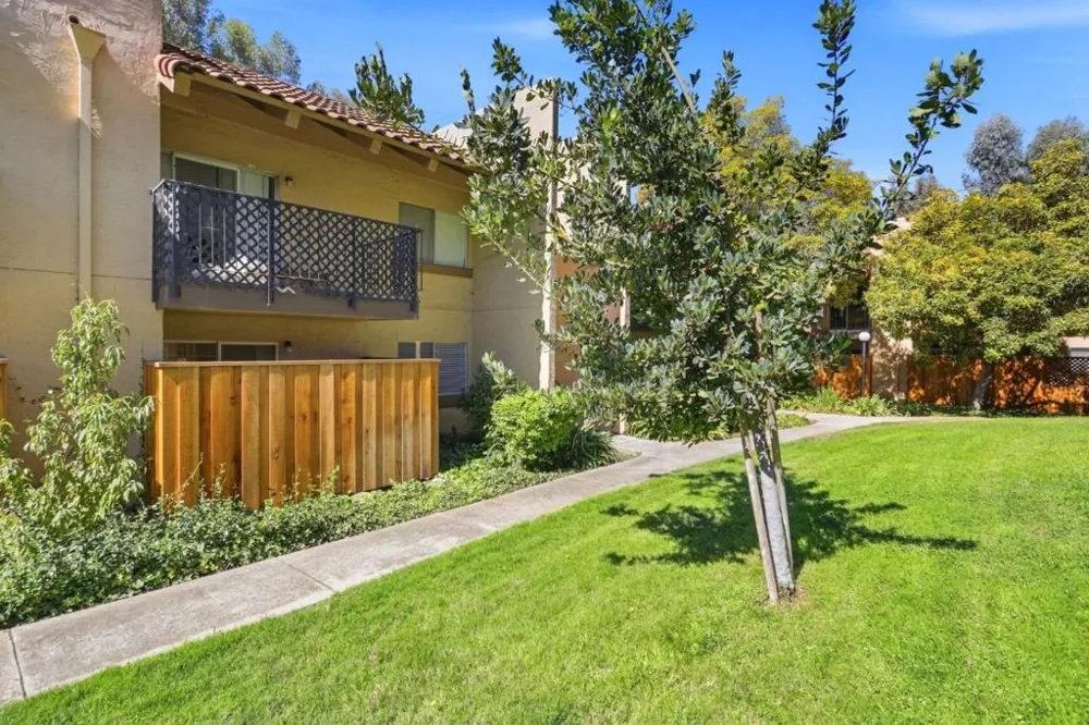 247 capitol Avenue #168 San Jose, CA 95127