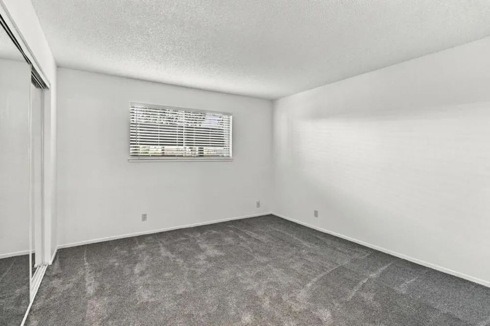 247 capitol Avenue #168 San Jose, CA 95127