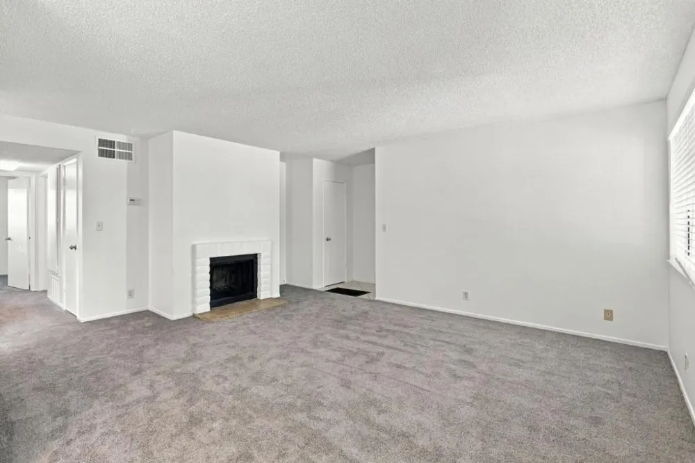 247 capitol Avenue #168 San Jose, CA 95127