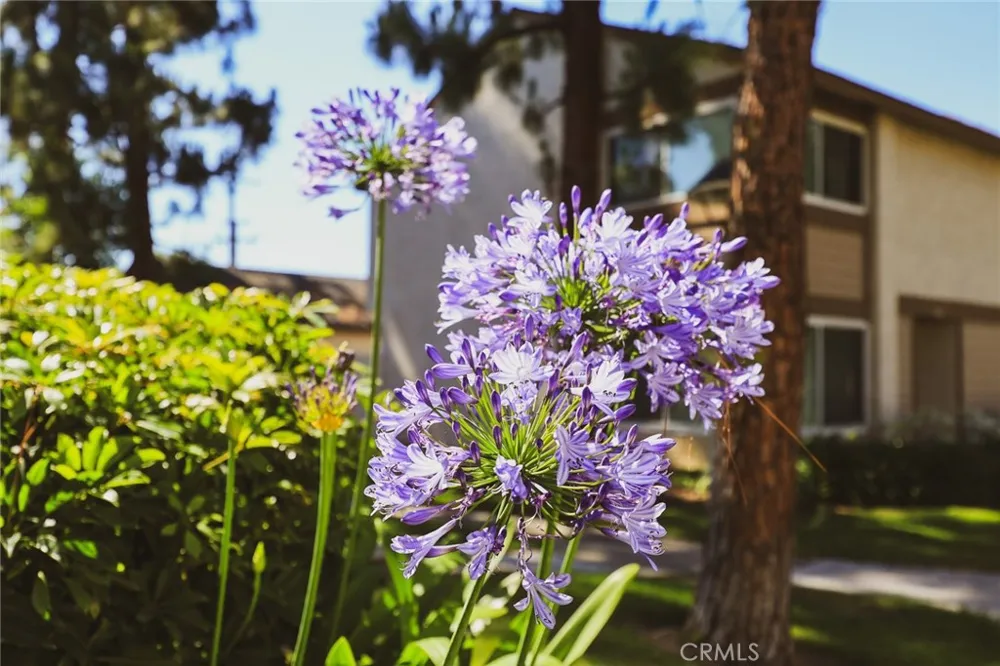 1419 Norwich Lane La Habra, CA 90631