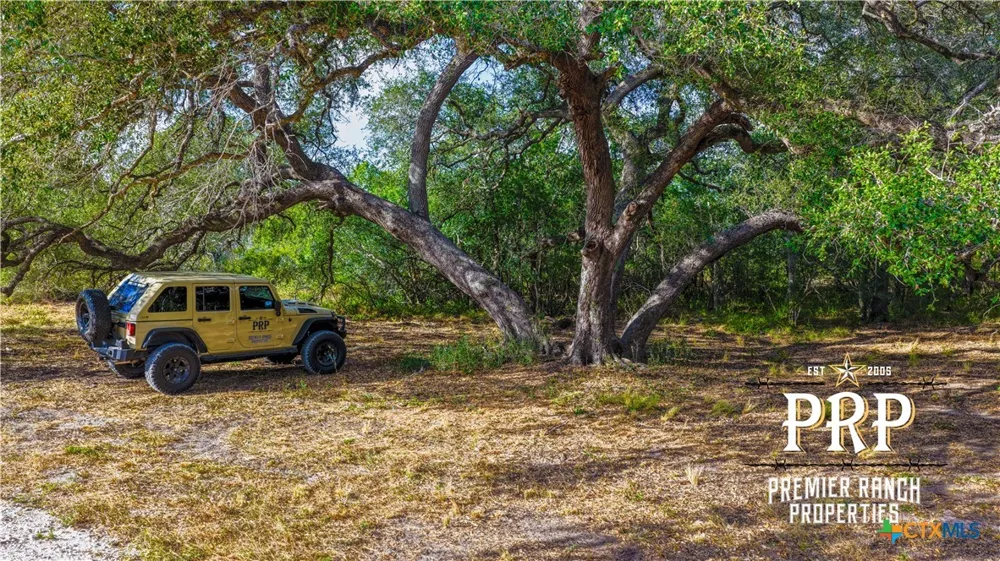 1776 FM 1351 Goliad, TX 77963