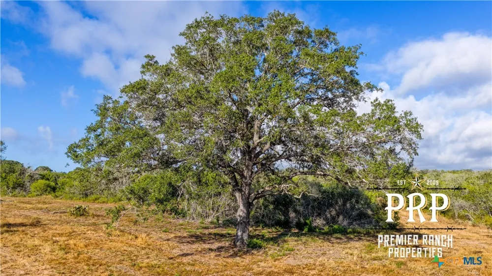 1776 FM 1351 Goliad, TX 77963