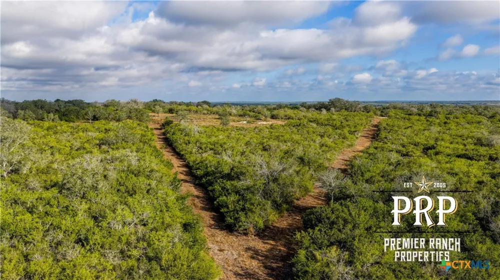 1776 FM 1351 Goliad, TX 77963