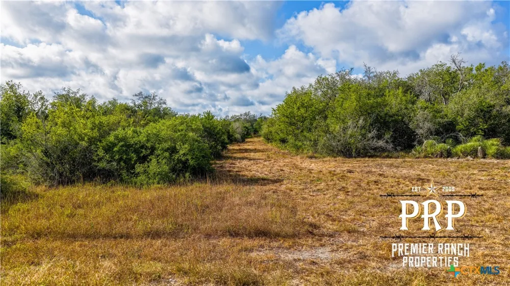 1776 FM 1351 Goliad, TX 77963