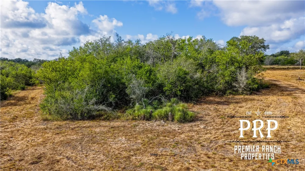 1776 FM 1351 Goliad, TX 77963