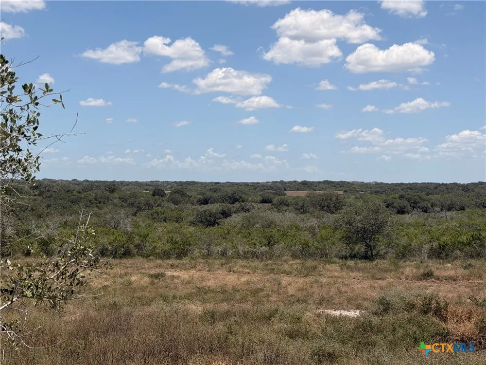 1776 FM 1351 Goliad, TX 77963