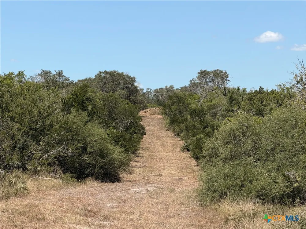 1776 FM 1351 Goliad, TX 77963
