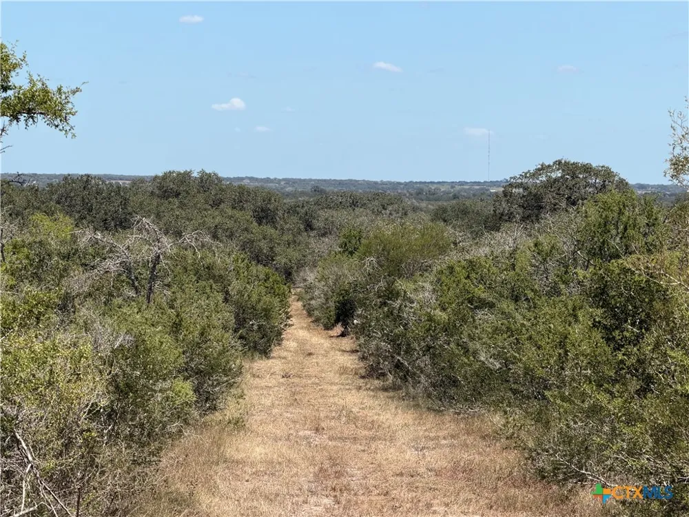 1776 FM 1351 Goliad, TX 77963