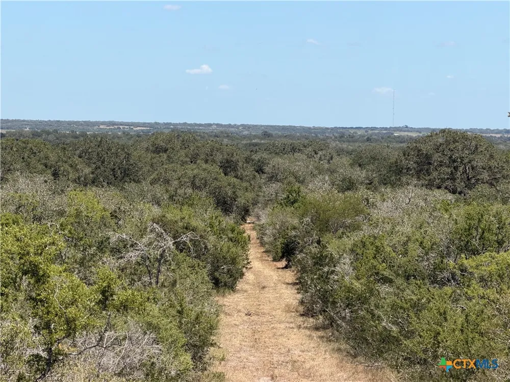 1776 FM 1351 Goliad, TX 77963
