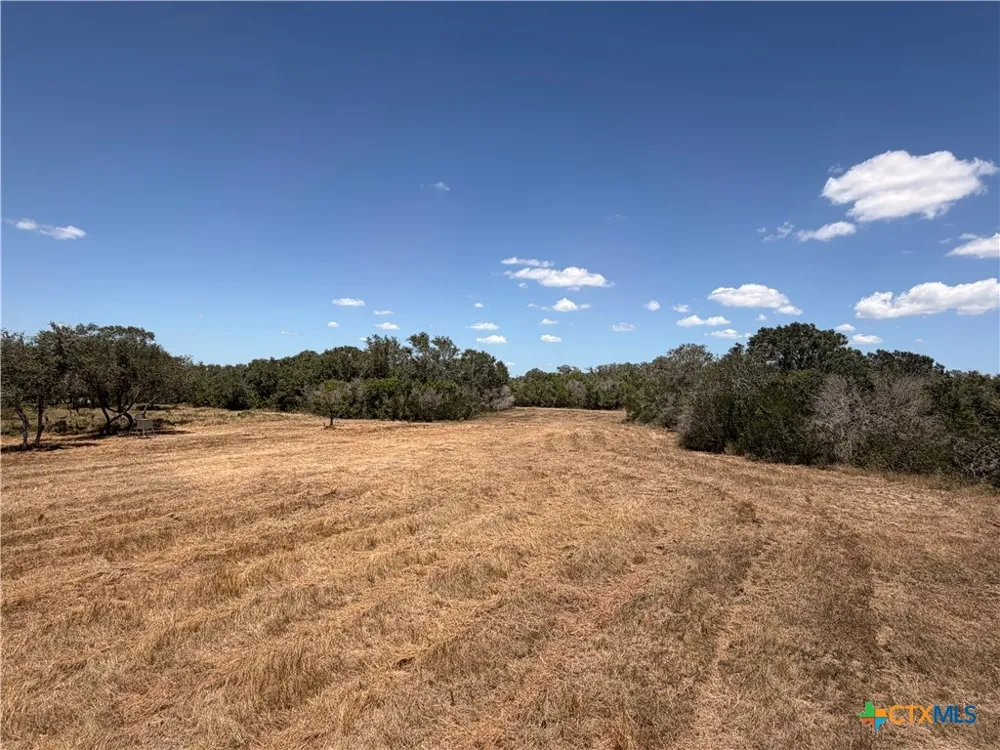 1776 FM 1351 Goliad, TX 77963