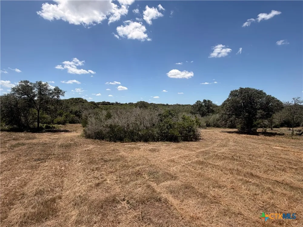 1776 FM 1351 Goliad, TX 77963