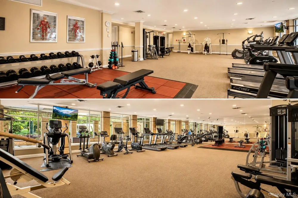 323 Trump Park Shrub Oak, NY 10588