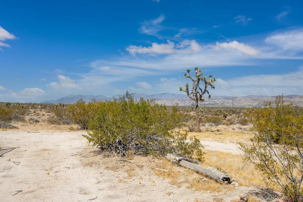 7382 Olympic Road Joshua Tree, CA 92252