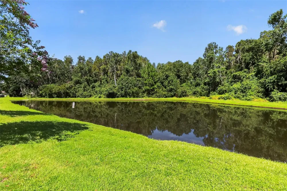 1677 LUDINGTON AVENUE Wesley Chapel, FL 33543