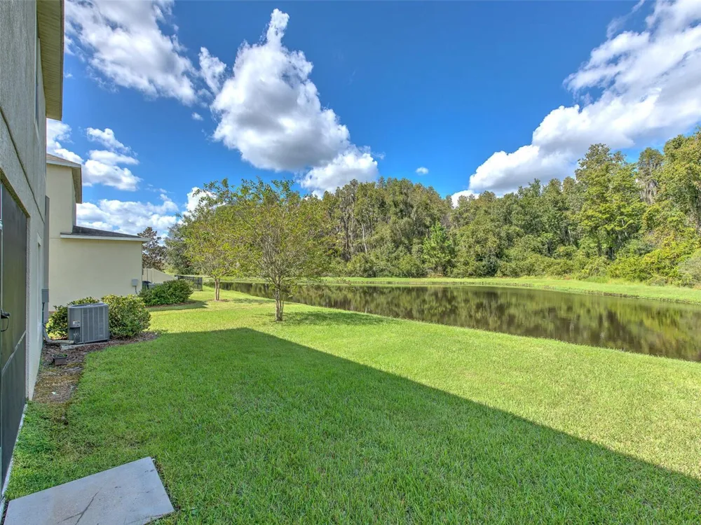 1677 LUDINGTON AVENUE Wesley Chapel, FL 33543