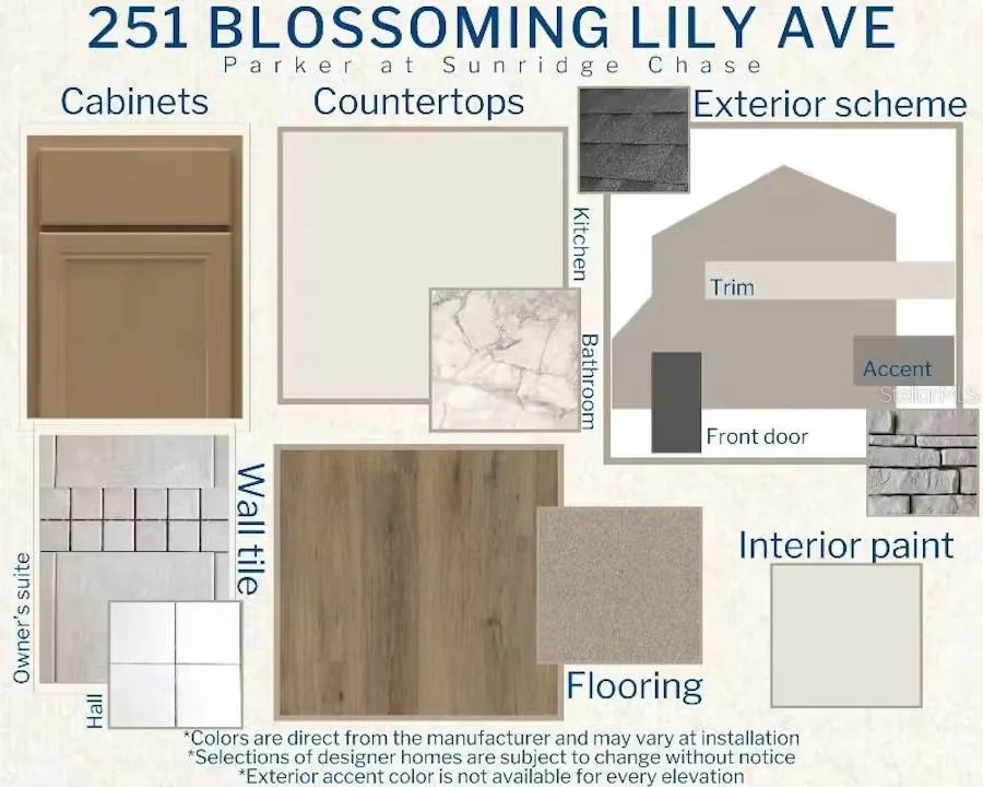 251 BLOSSOMING LILY AVENUE Ruskin, FL 33570