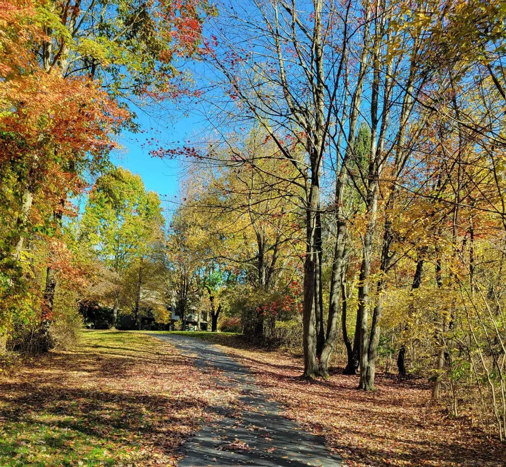 78718 Pearl Drive Bruce Township, MI 48065