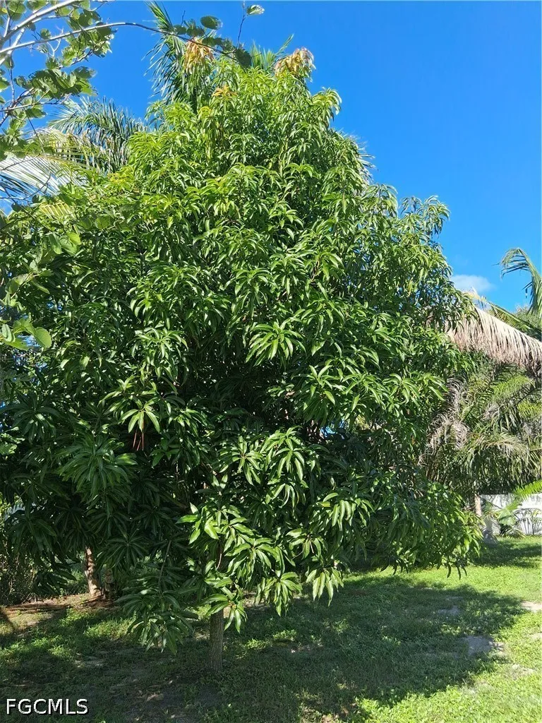 Zeppelin Place Fort Myers, FL 33913