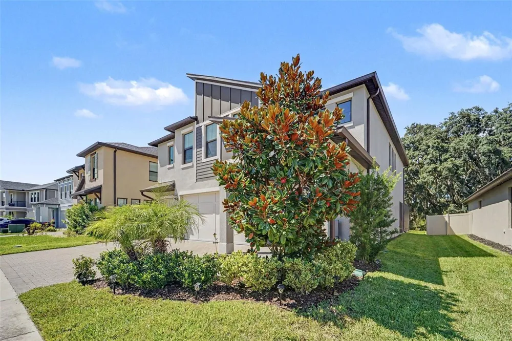 21590 VIOLET PERIWINKLE DRIVE Land O Lakes, FL 34637