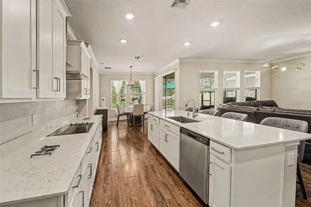 21590 VIOLET PERIWINKLE DRIVE Land O Lakes, FL 34637