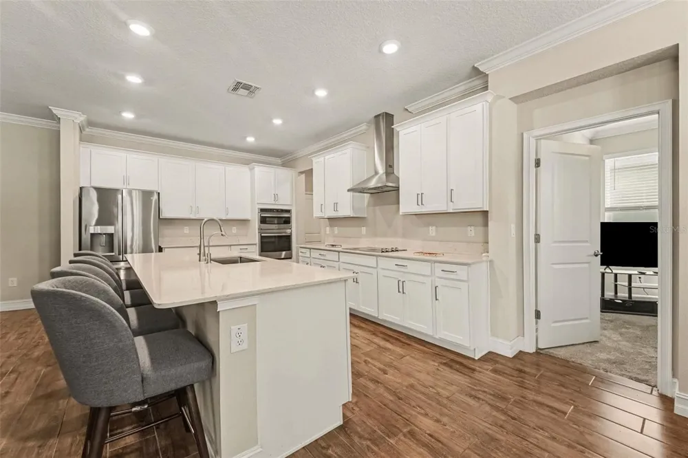 21590 VIOLET PERIWINKLE DRIVE Land O Lakes, FL 34637