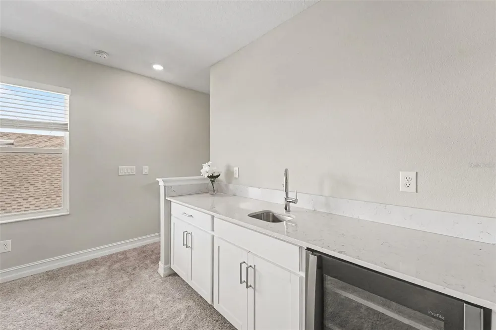 21590 VIOLET PERIWINKLE DRIVE Land O Lakes, FL 34637