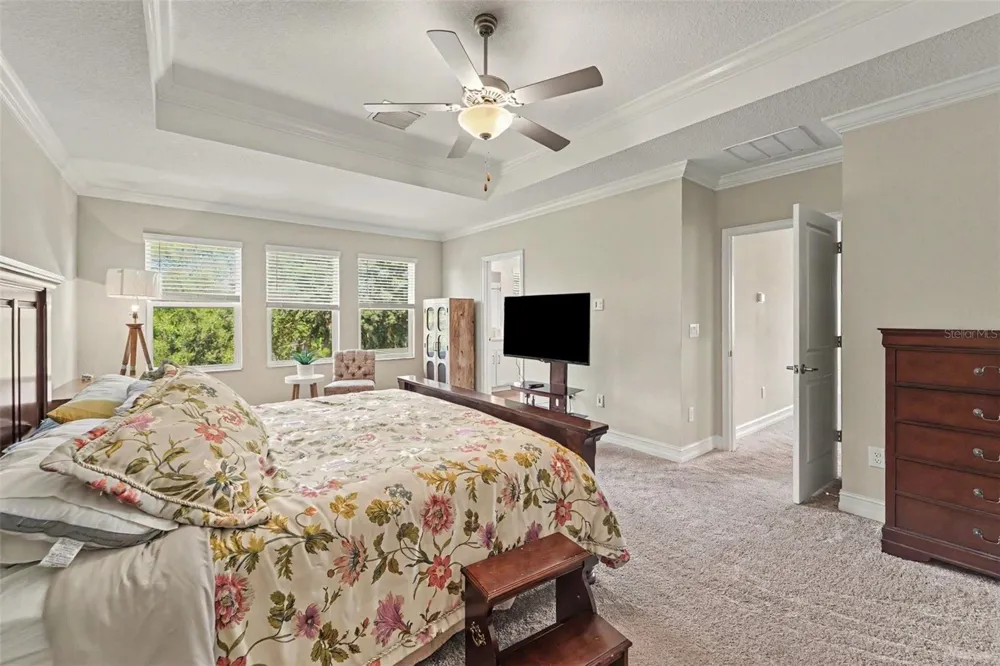 21590 VIOLET PERIWINKLE DRIVE Land O Lakes, FL 34637