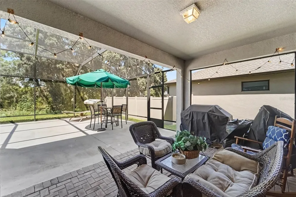 21590 VIOLET PERIWINKLE DRIVE Land O Lakes, FL 34637