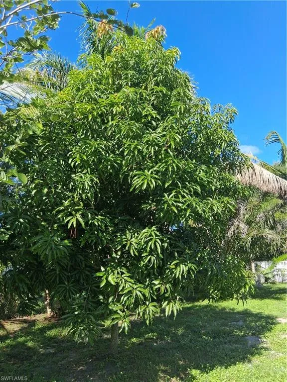 719 Zeppelin Place Fort Myers, FL 33913