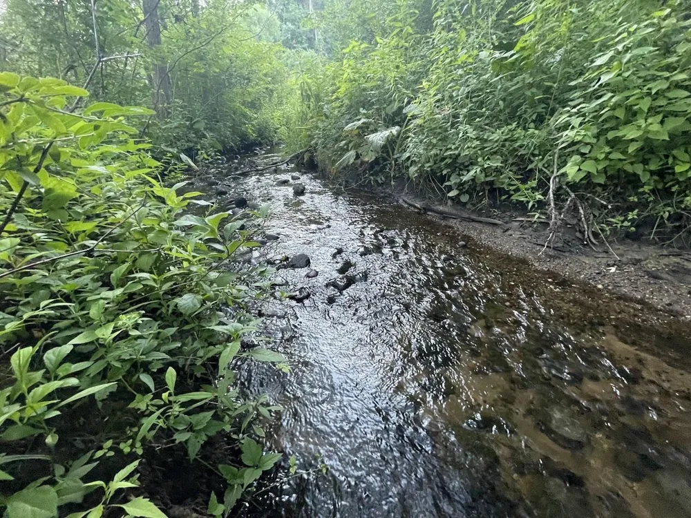 4199 3 Mile Road NE Grand Rapids, MI 49525